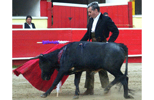 California Academy of Tauromaquia